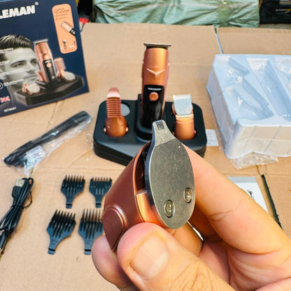 Professional Gentleman 10 in 1 grooming set