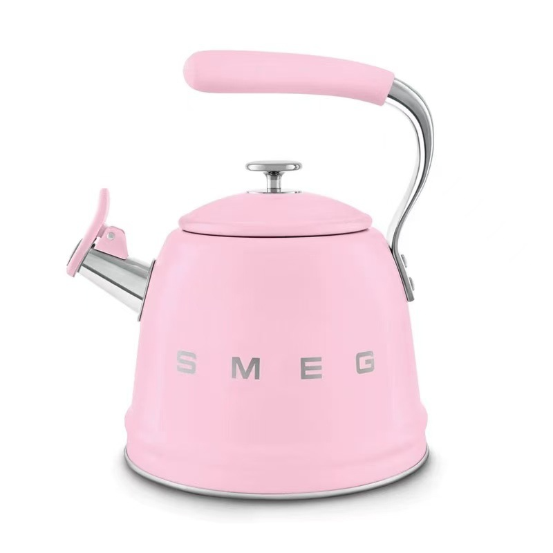 SMEG Vintage Electric Kettle Stainless Steel 3L Large Capacity with Whistle